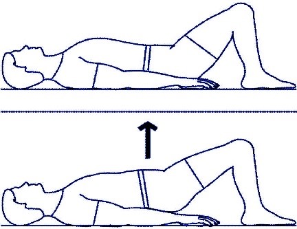 Gluteal Sets or Pelvic Lifts